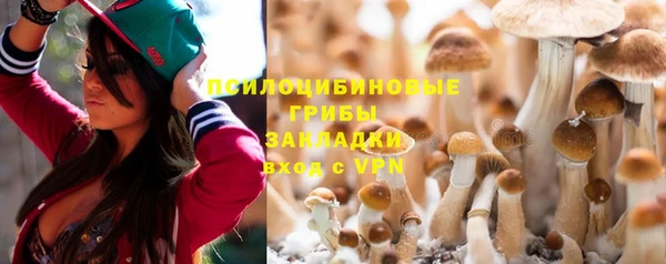 шишки Новокубанск