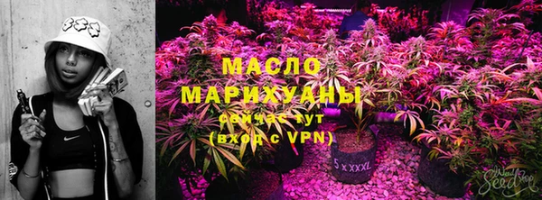 шишки Новокубанск