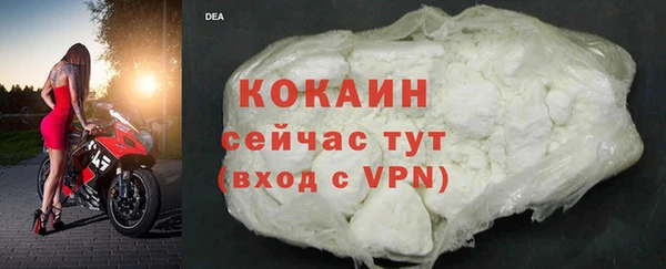 шишки Новокубанск
