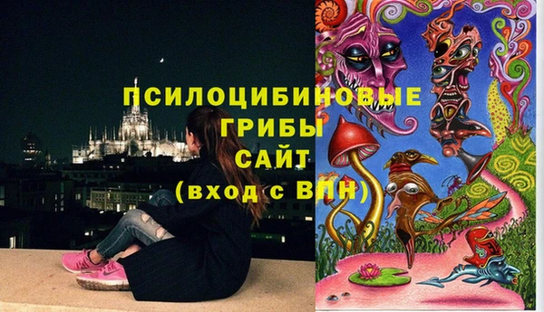 шишки Абдулино