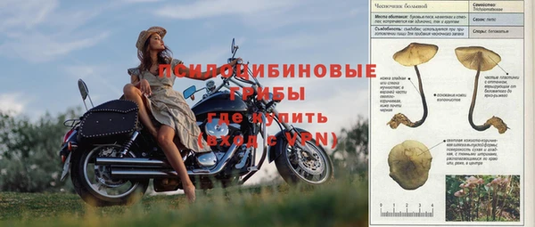 MESCALINE Новозыбков