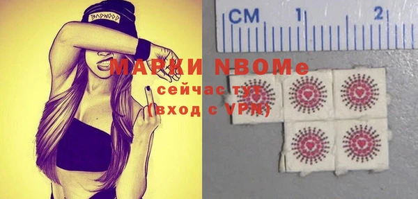 шишки Новокубанск