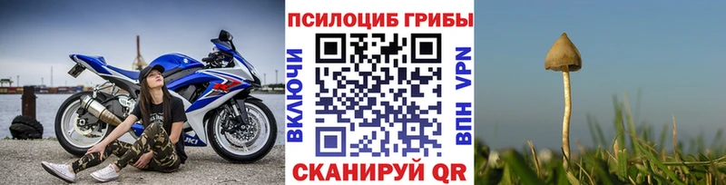 Псилоцибиновые грибы Magic Shrooms  продажа наркотиков  Новая Усмань 